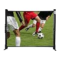 Portable Leinwand MAXlum Tischleinwand 101x76 cm