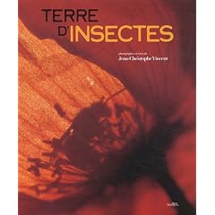 Terre d'insectes