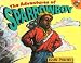 The Adventures Of Sparrowboy