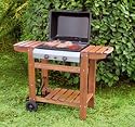 Barbecue De Jardin à Gaz