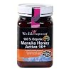 Wedderspoon Raw Organic Manuka Honey Active 16+, 17.6-Ounce Jar