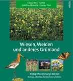 Wiesen, Weiden und anderes Gr�nland