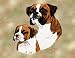 Boxer and Puppy Woven Lap Square (Throw Blanket)