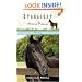 Runaway (Starlight Animal Rescue)