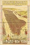 Gracie Emmett in her great play the Pulse of New York. By Howard P. Taylor. Courier Lith. Co., large historic panoramic map reprint 36x53