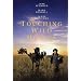 Touching Wild Horses