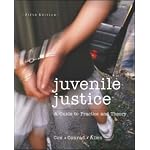 Juvenile Justice: A Guide to Practice and Theory book cover
