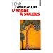 L'arbre � soleils
