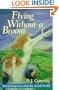 Flying Without a Broom: Astral Projection and the Astral World