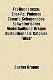 Fci-Hunderasse: Shar-Pei, Podenco Canario, Schapendoes, Schweizerischer Niederlaufhund, Braque Du Bourbonnais, Coton de Tulear