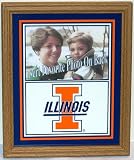Illinois Fighting Illini NCAA 9.75 X 11.5 Photo Wall Plaque