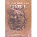 The Lost World of Pompeii (Getty Trust Publications: J. Paul Getty Museum)