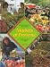 Markets of provence