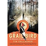 the grail bird the rediscovery of the ivory billed woodpecker