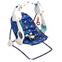 Fisher-Price Aquarium Take-Along Swing