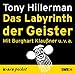 Das Labyrinth der Geister (Audio CD)