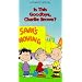 Is This Goodbye, Charlie Brown? [VHS]