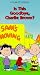 Is This Goodbye, Charlie Brown?