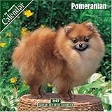 Pomeranian 2007 Wall Calendar