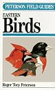 Field Guide to Eastern/Central Bird Songs (Peterson Field Guides)