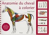 Anatomie du cheval � colorier : Une aide � l'apprentissage de l'anatomie du cheval