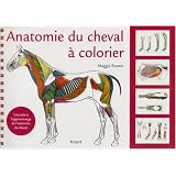 Anatomie du cheval � colorier : Une aide � l'apprentissage de l'anatomie du chevalpar Maggie Raynor