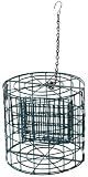 Squirrel-Proof Suet Haven Bird Feeder (12601)