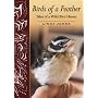 Birds of a Feather: Tales of a Wild Bird Haven