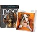 Dog Page-A-Day Gallery Desk Calendar 2012