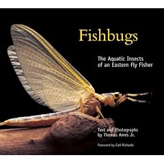 Fishbugs: The Aquatic Insects of an Eastern Flyfisher: Thomas Ames