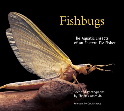 Fishbugs: The Aquatic Insects of an Eastern Flyfisher under Living on the Land in The Books Store