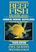 Reef
Fish
Identification:
Caribbean,
Bahamas,
South
Florida