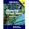 virtual teams