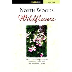 North Woods Wildflowers