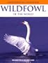 Photographic Handbook: Wildfowl of the World (Photographic Handbook Series)