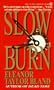 Slow Burn (Marti MacAlister Mystery)