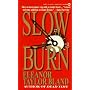 Slow Burn (Marti MacAlister Mystery)