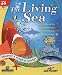 Software : The Living Sea