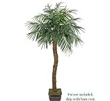 8' Artificial Phoenix Coconut Palm Tree with BENDABLE Trunk, with No Pot