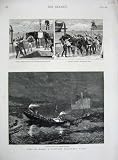 1881 MILITARY TRANSPORT SHIP MADEIRA FUNCHAI HORSES