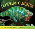 Produkt-Bild: Chameleon, Chameleon [ CHAMELEON, CHAMELEON ] by Cowley, Joy (Author) Apr-01-2005 [ Hardcover ]
