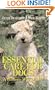 Essential Care for Dogs: A Holistic Way of Life