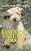 Essential Care for Dogs: A Holistic Way of Life