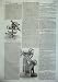 1855 Astronomy Altitude Instrument Equatoreal Azimuth