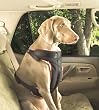 Solvit Extra-Large Pet Vehicle Safety Harness
