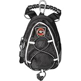 Georgia Bulldogs NCAA Mini Day Pack