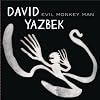 Evil Monkey Man (Snys)