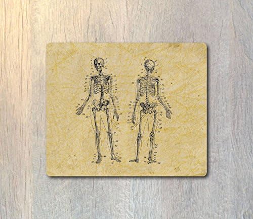 Human Skeleton Mouse Pad - Human Anatomy Computer or Office Work Station Decor