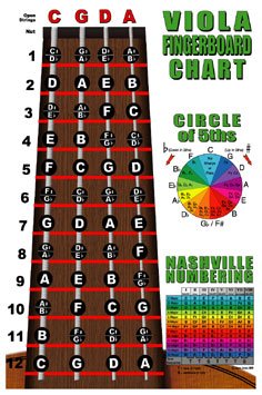 Viola Fingerboard Instructional Poster with Nashville Numbering System