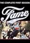 Fame: Season 1 [DVD] [1982]